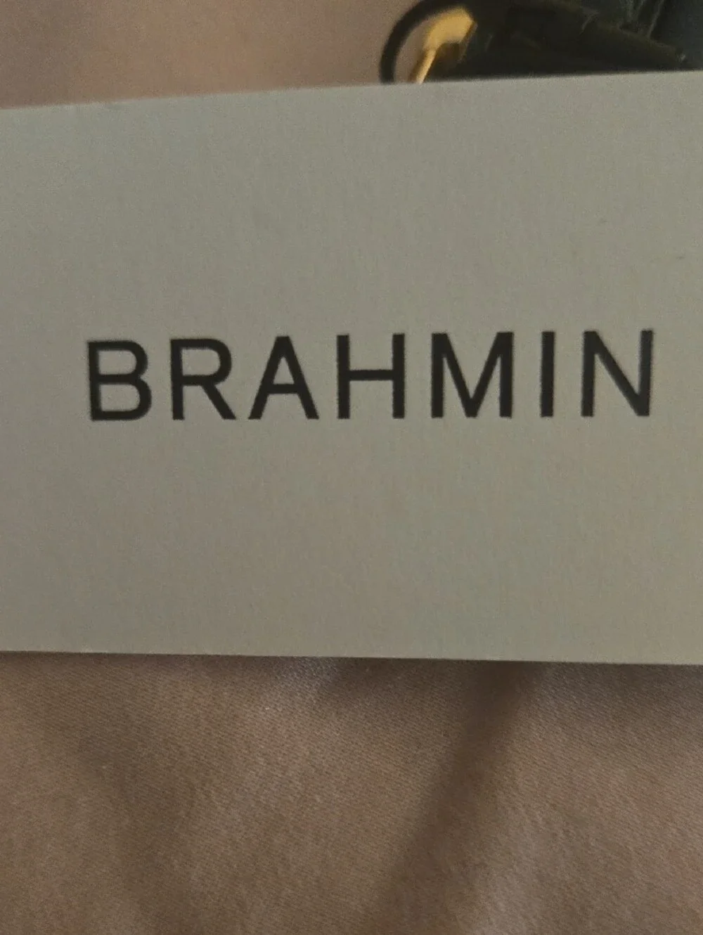 Brahmin Blue/teal Irridescent Embossed Leather Wallet with Gold Plaque. NWT